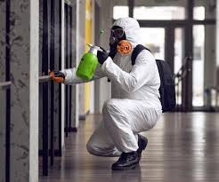 Best Mold Odor Removal Services  in Elverta, CA